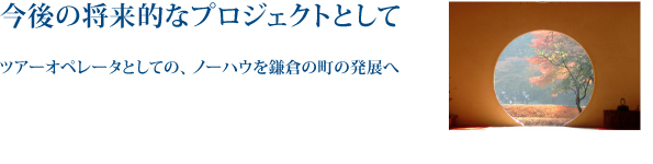 今後の将来的なプロジェクトとして