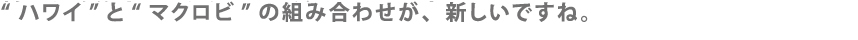 ワイ”と“マクロビ”の組み合わせが、新しいですね。